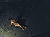 Amanda Nicole exclusive onlyfans leaked nudes