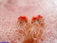 kittenindian exclusive onlyfans leaked nudes