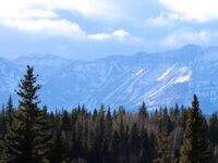 ciciastral exclusive onlyfans leaked nudes