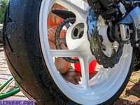 lil_hanne exclusive onlyfans leaked nudes