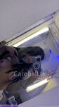 carobell.tv exclusive onlyfans leaked nudes