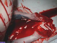 museum0fcum exclusive onlyfans leaked nudes