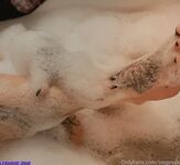 Siegex new hot onlyfans leaked nudes