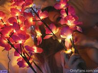 Siegex new hot onlyfans leaked nudes