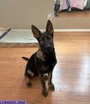 Cybersofty new hot onlyfans leaks