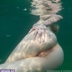 Violetjanexxx new hot onlyfans leaked nudes