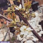 holly wolf new hot onlyfans leaked nudes