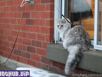 Isla D aka onlyisla new hot onlyfans leaked nudes