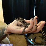 genieroman666 new hot onlyfans leaked nudes