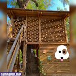 gloriasol onlyfans leaks nude photos and videos