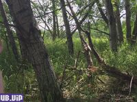 abigale mandler onlyfans leaks nude