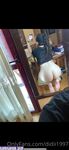 didiii1997 onlyfans leaks nude photos