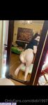 didiii1997 onlyfans leaks nude photos