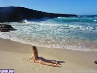 wolfofthewild onlyfans leaks nude photos and videos