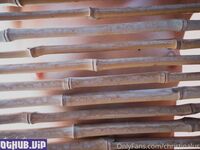 Christinalustxxx onlyfans leaks nude photos and videos