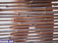 Christinalustxxx onlyfans leaks nude photos and videos