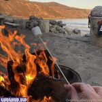 Stellar onlyfans leaks nude photos and videos