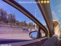 goaskalex onlyfans leaks nude photos