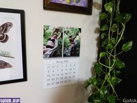 goaskalex onlyfans leaks nude photos