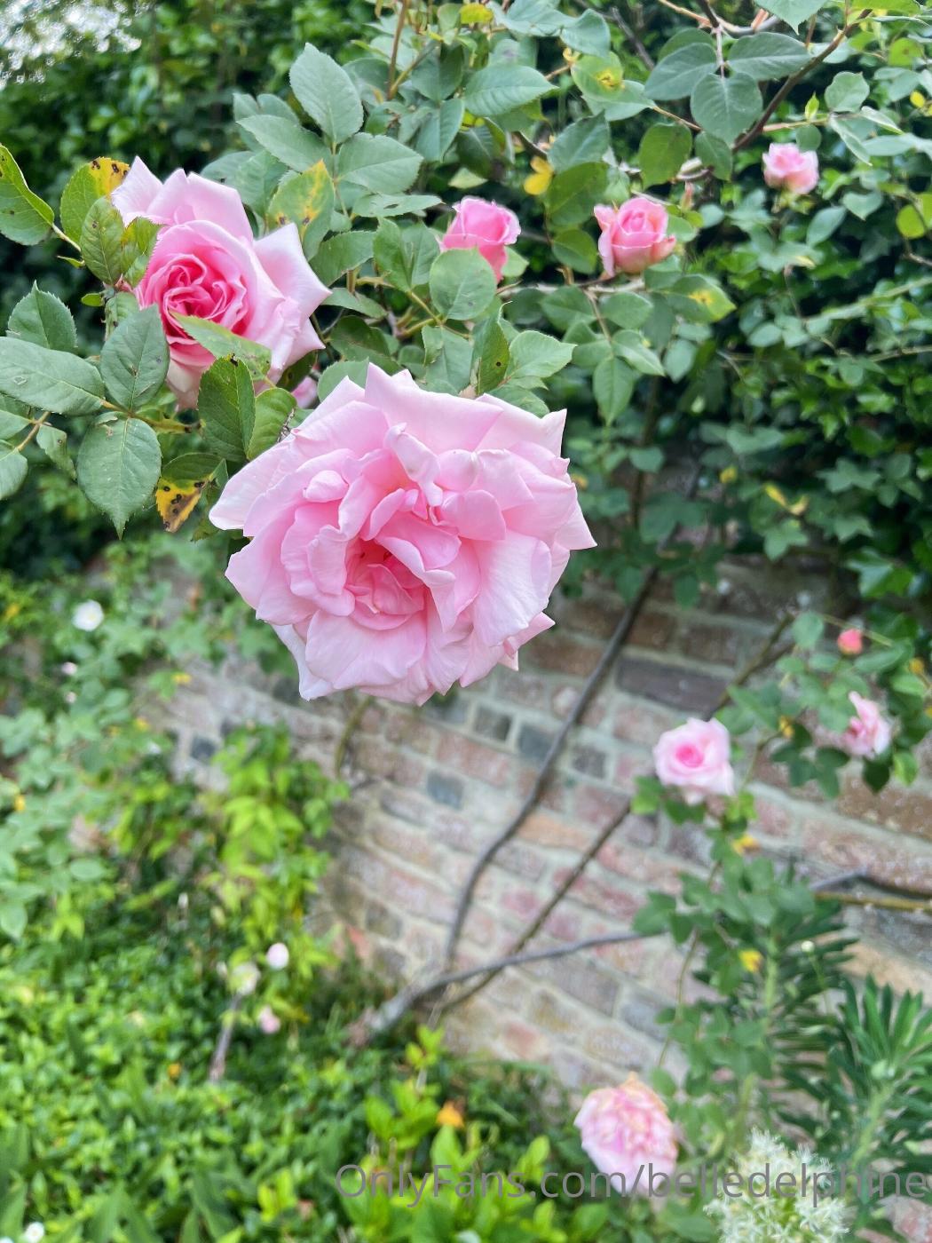 Belle Delphine Secret Place Onlyfans Set Leaked